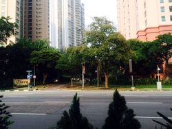 Zion Road (D10), Apartment #618960311